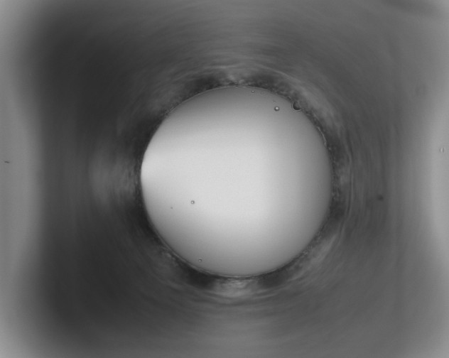 X0000102470129200808151437