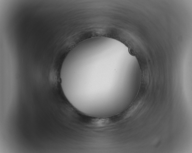X0000102470135200808151436