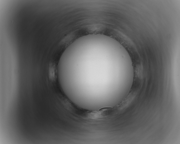 X0000102470138200808151436