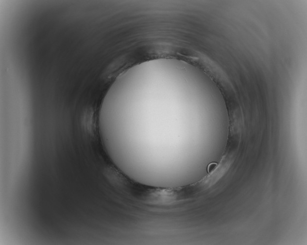 X0000102470140200808151436