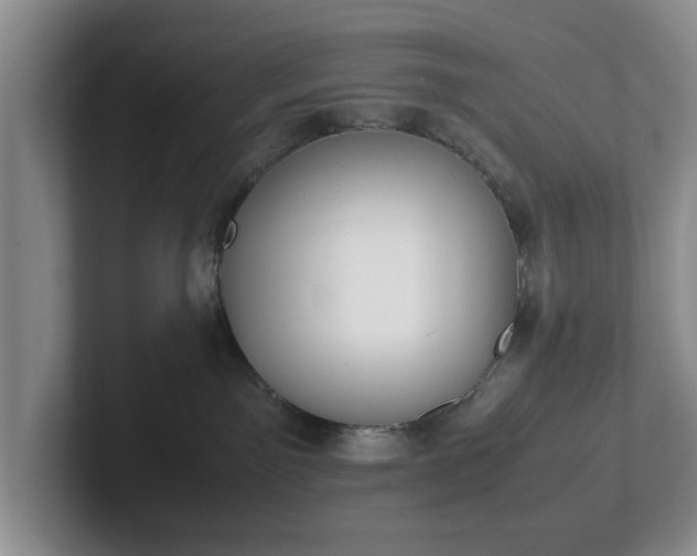 X0000102470141200808151436