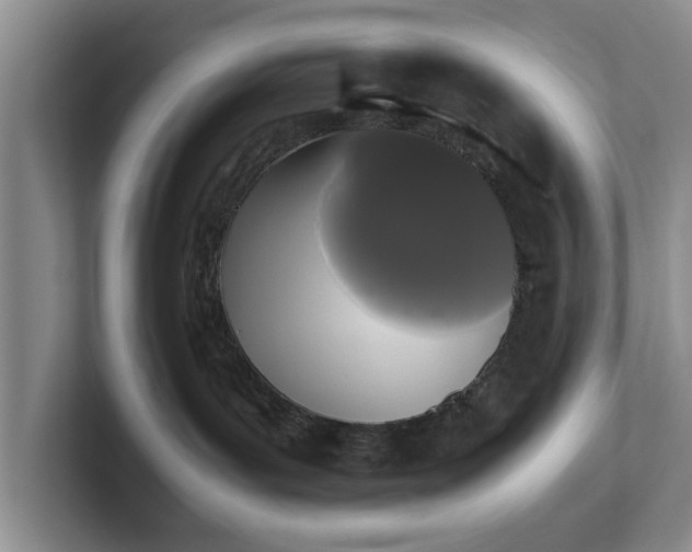 X0000102470143200808151436