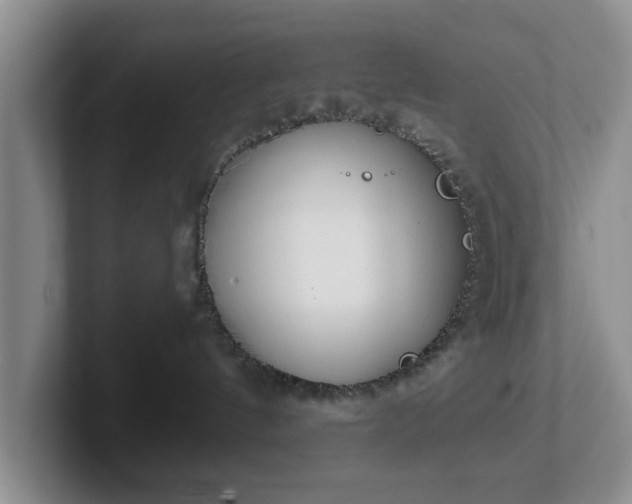 X0000102470144200808151436