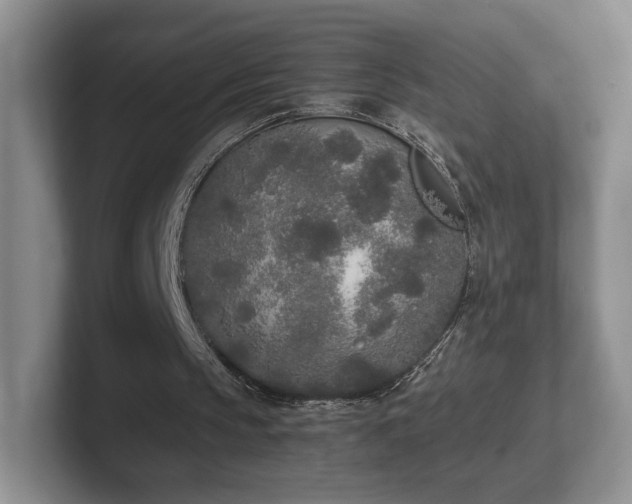 X0000102470145200808151436