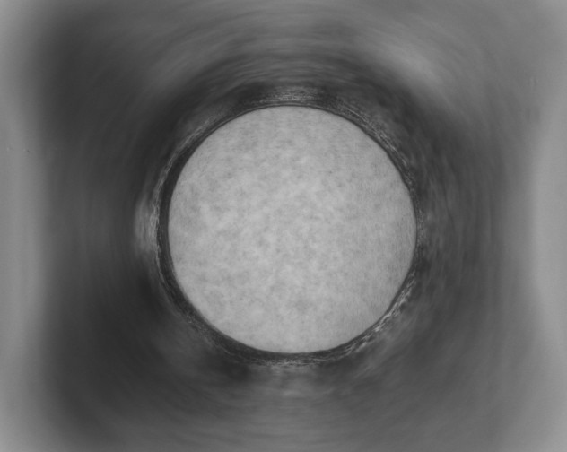 X0000102470146200808151436