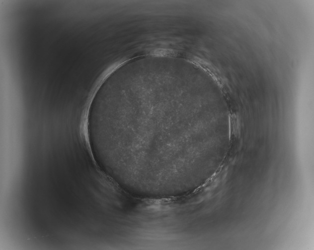 X0000102470147200808151436