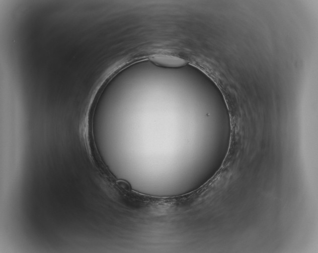 X0000102470148200808151436