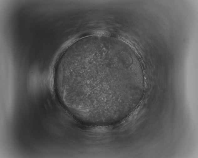 X0000102470149200808151436