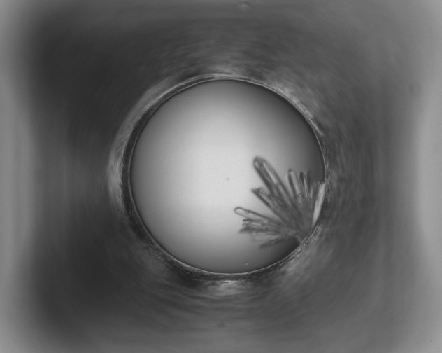X0000102470151200808151436