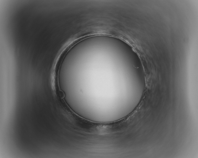 X0000102470152200808151436
