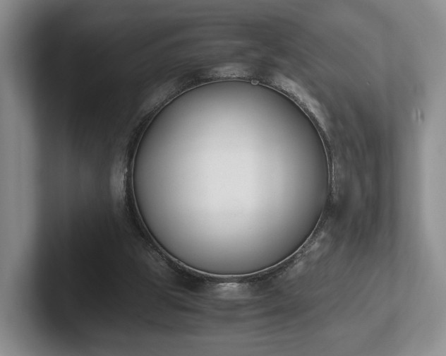 X0000102470153200808151436