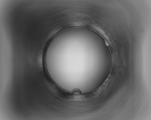 X0000102470154200808151436
