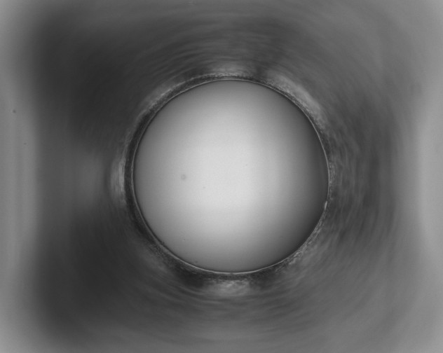 X0000102470155200808151436