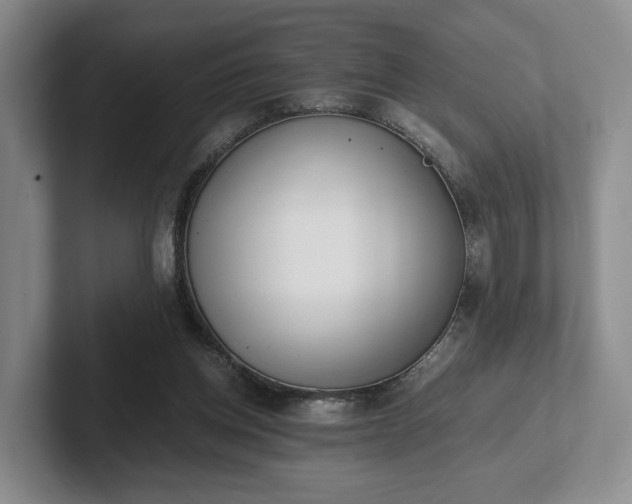 X0000102470158200808151436