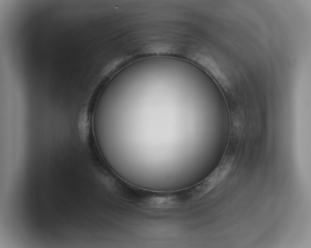X0000102470160200808151436