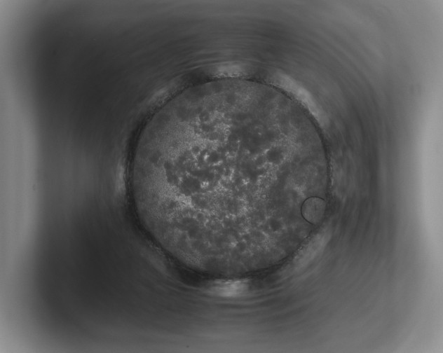 X0000102470161200808151436