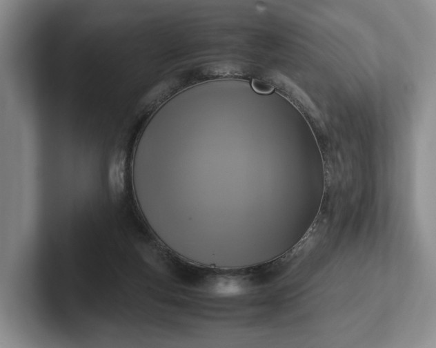 X0000102470163200808151436