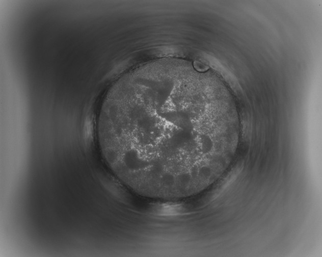 X0000102470165200808151436