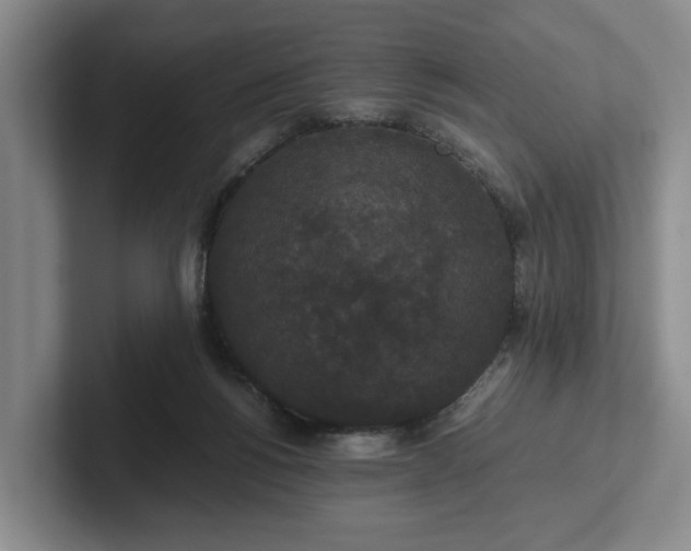 X0000102470168200808151436