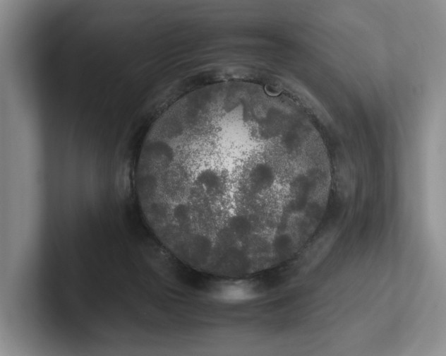 X0000102470169200808151436