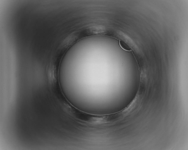 X0000102470170200808151436