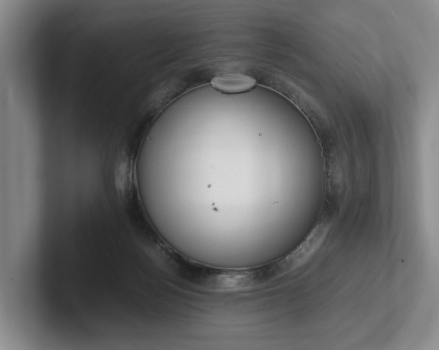 X0000102470172200808151436