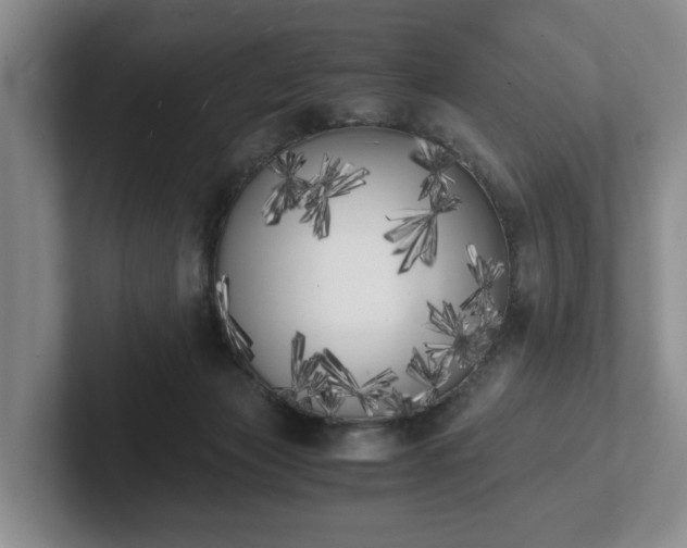 X0000102470173200808151436
