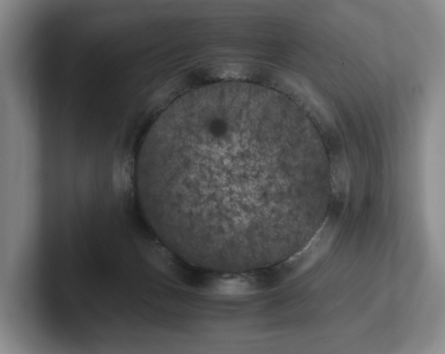 X0000102470175200808151436