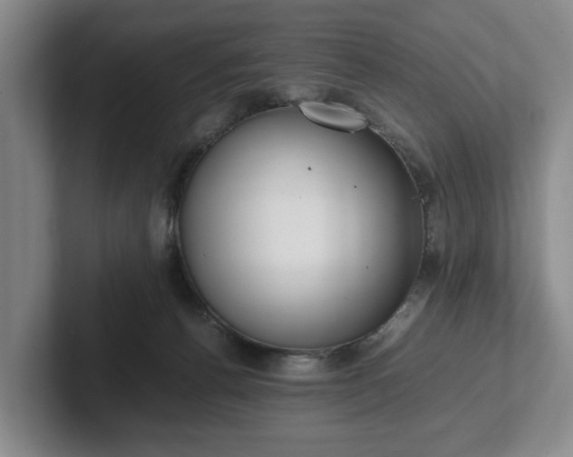 X0000102470176200808151436