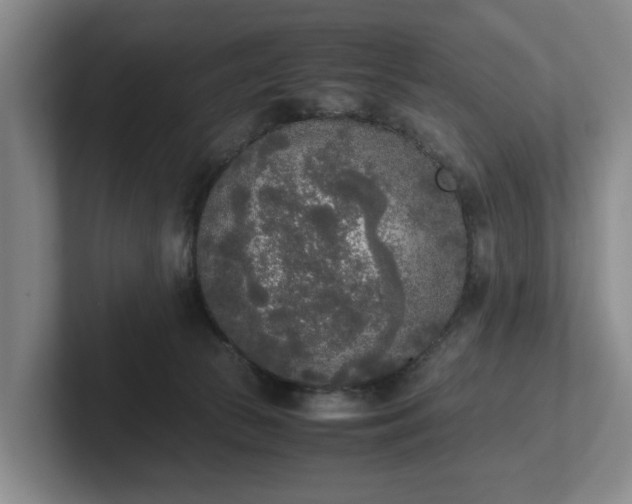 X0000102470177200808151436