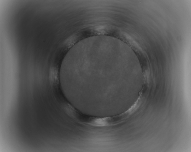 X0000102470178200808151436