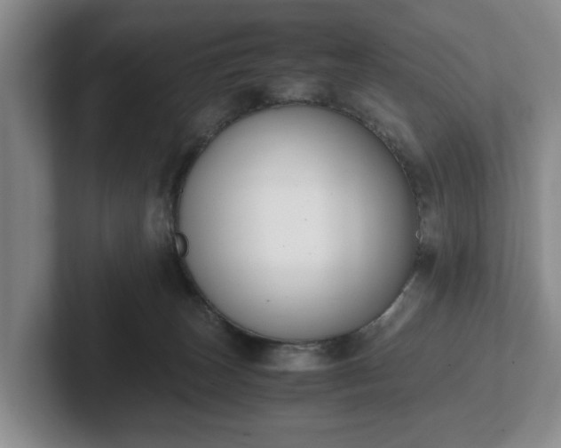 X0000102470179200808151436