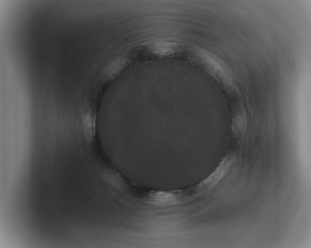 X0000102470180200808151436