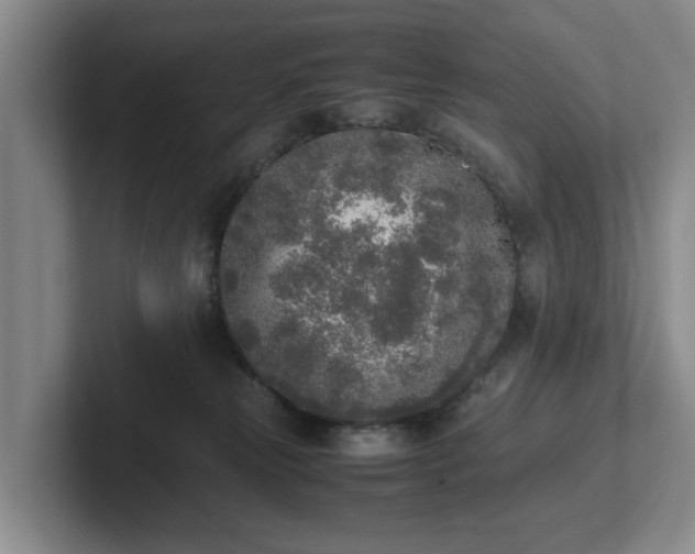 X0000102470181200808151436