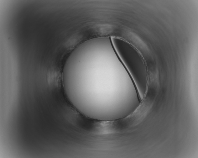 X0000102470184200808151436