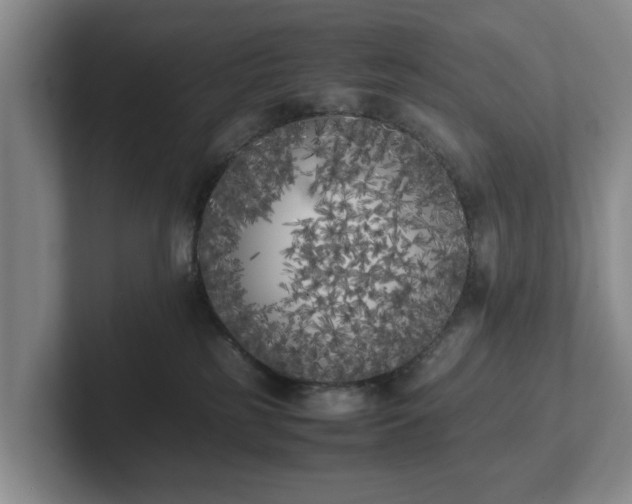 X0000102470185200808151436
