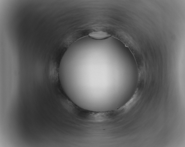 X0000102470186200808151436