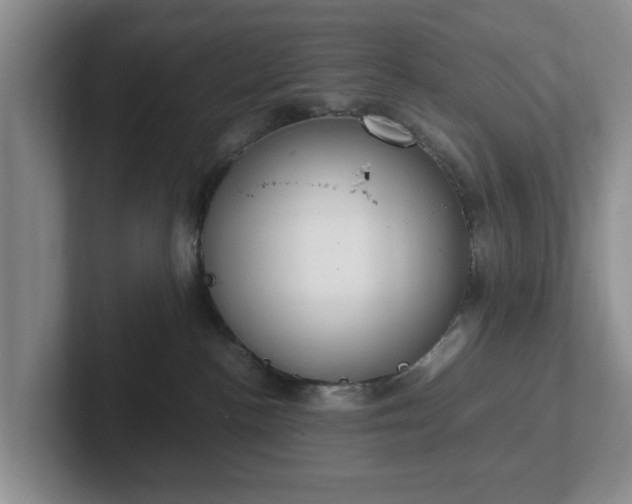 X0000102470188200808151436