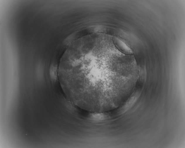 X0000102470189200808151436
