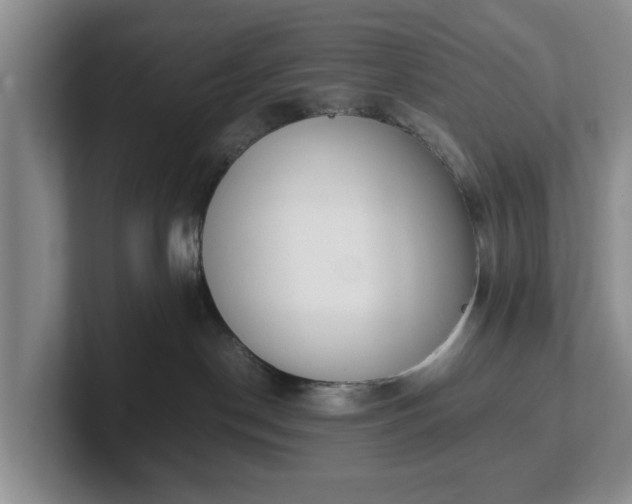 X0000102470190200808151436