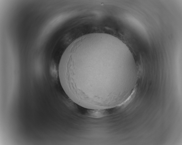 X0000102470191200808151436