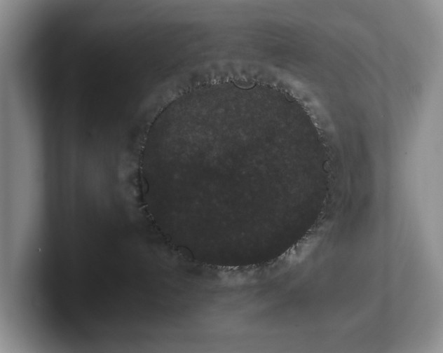 X0000102470192200808151436