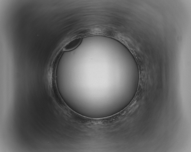 X0000102470194200808151436
