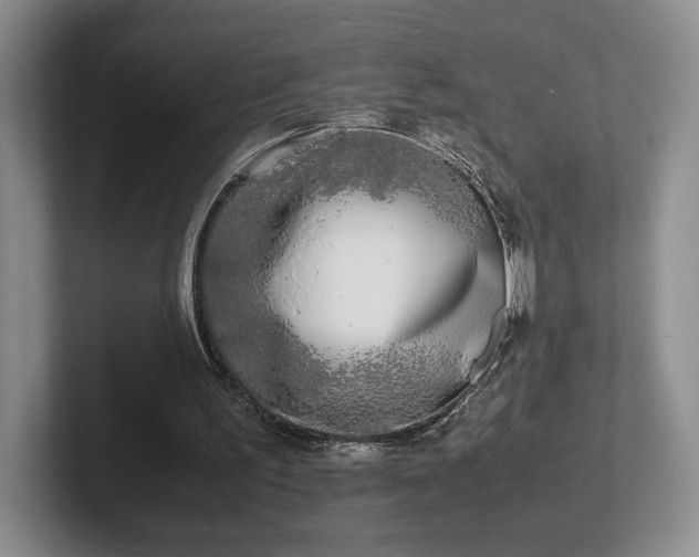 X0000102470195200808151436
