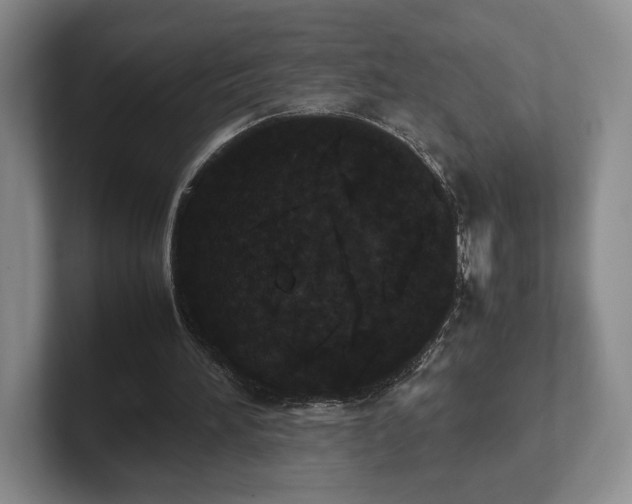 X0000102470196200808151436
