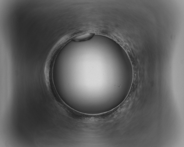 X0000102470197200808151436