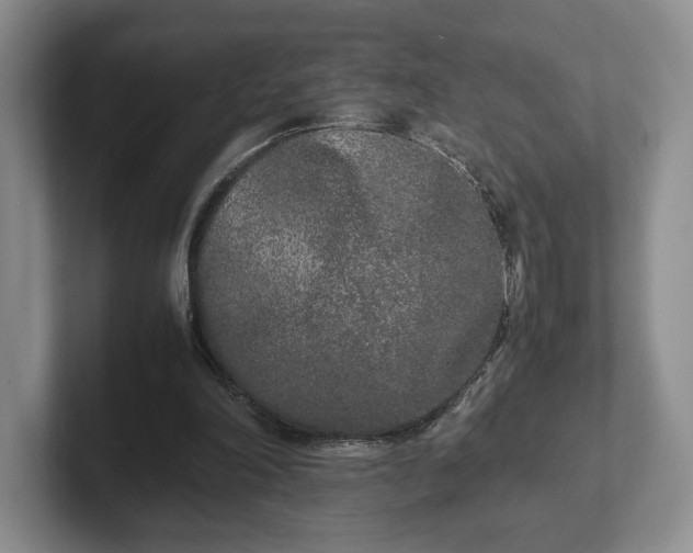 X0000102470198200808151436