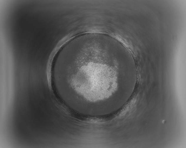 X0000102470199200808151436