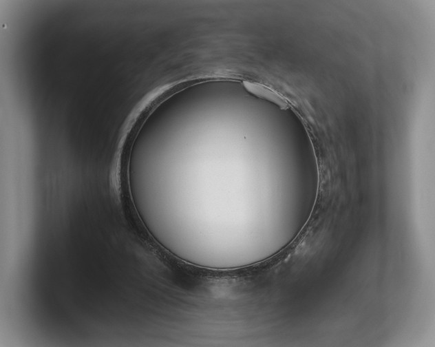 X0000102470200200808151436