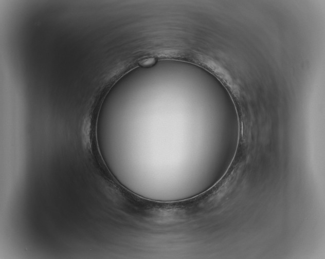 X0000102470201200808151436